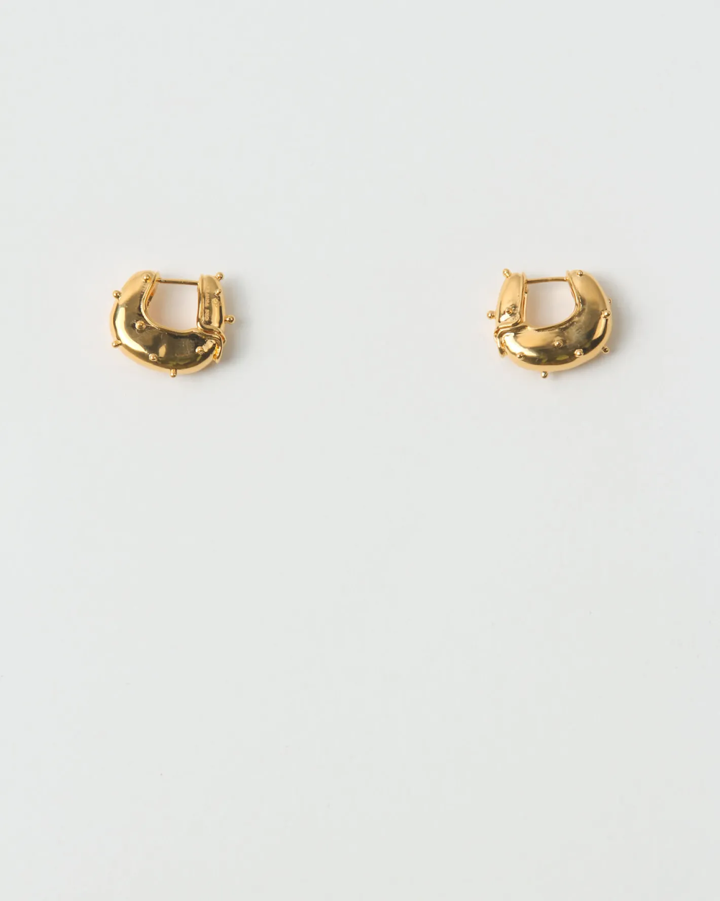New Iris Hoop Earrings Gold Vermeil Earrings
