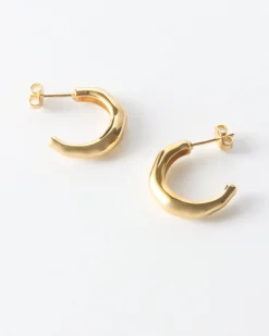 Clearance Small Hoops Gold Plated Earrings